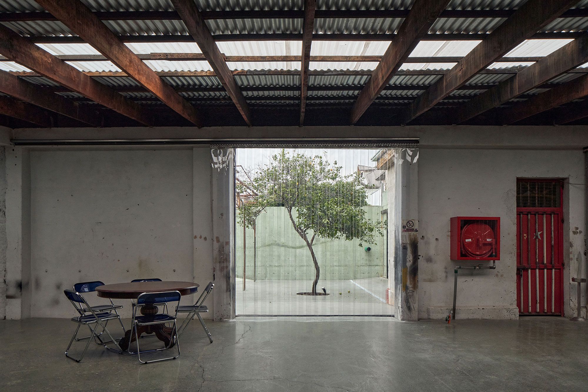 The main hall: timber beams, a translucent roof and the lemon tree beyond.